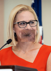 Read more about the article Know it All Krysten Sinema: Asshole of the Week 39